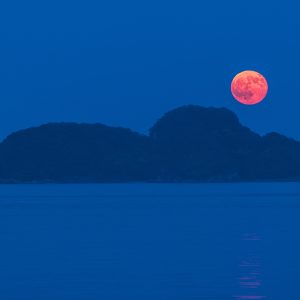 尾鷲港の写真「月見をするムーミン島　（佐波留島）」