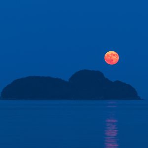 尾鷲港の写真「赤い月と佐波留島」