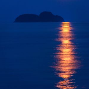 尾鷲港の写真「佐波留島と満月」