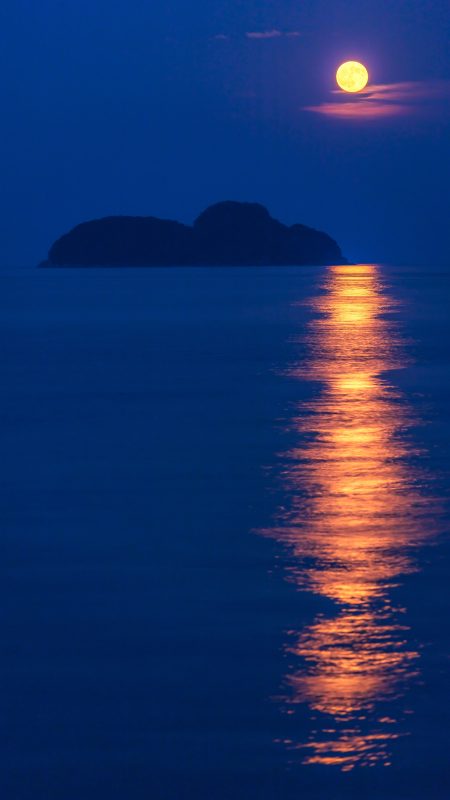 尾鷲港の写真「佐波留島と満月」