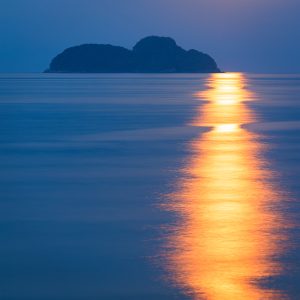 尾鷲港の写真「佐波留島と黄金に輝く満月の道」