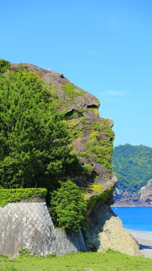 無料スマホ壁紙「ゴリラ岩」