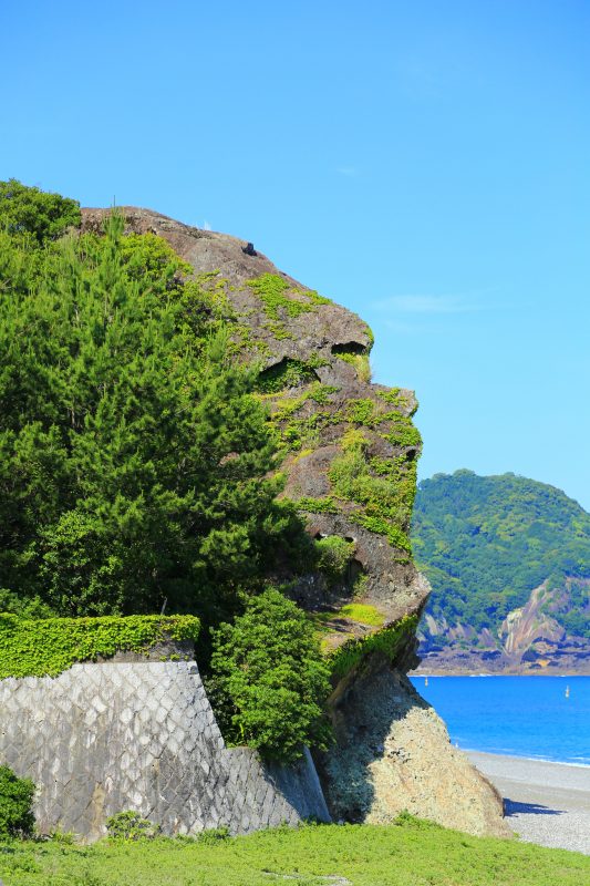 獅子岩の写真「ゴリラ岩」