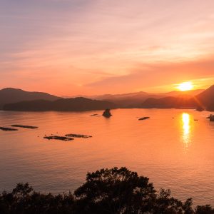 展望台から眺める夏の夕日