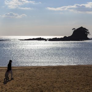 ゴジラを眺めながら親子で散歩