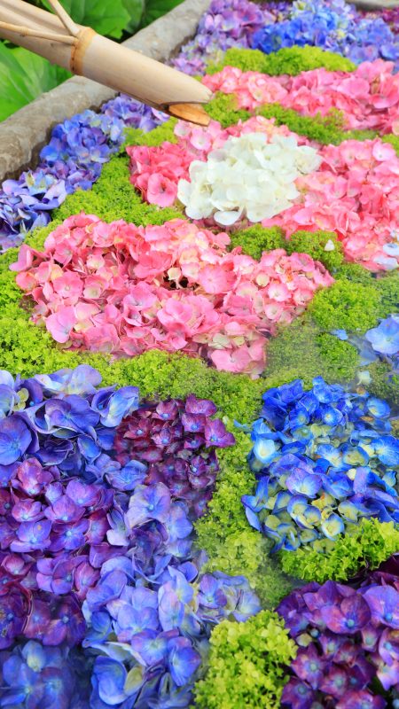 無料スマホ壁紙「花手水」