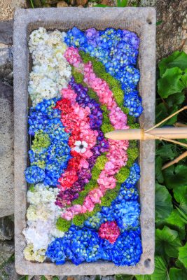 かざはやの里の写真「レインボー花手水」