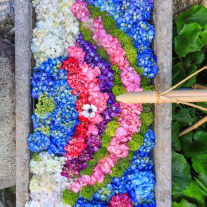 かざはやの里の写真「レインボー花手水」