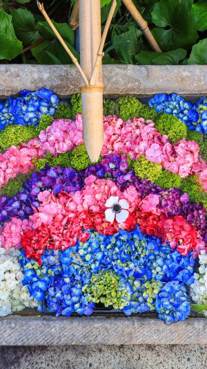 虹の花手水