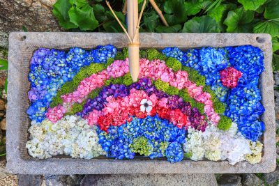 かざはやの里の写真「虹の花手水」