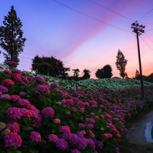 恋のウェーブと夕焼け