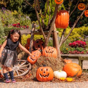 フリー写真素材「エントランスのカボチャおばけ」