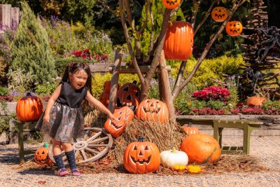 フリー写真素材「エントランスのカボチャおばけ」