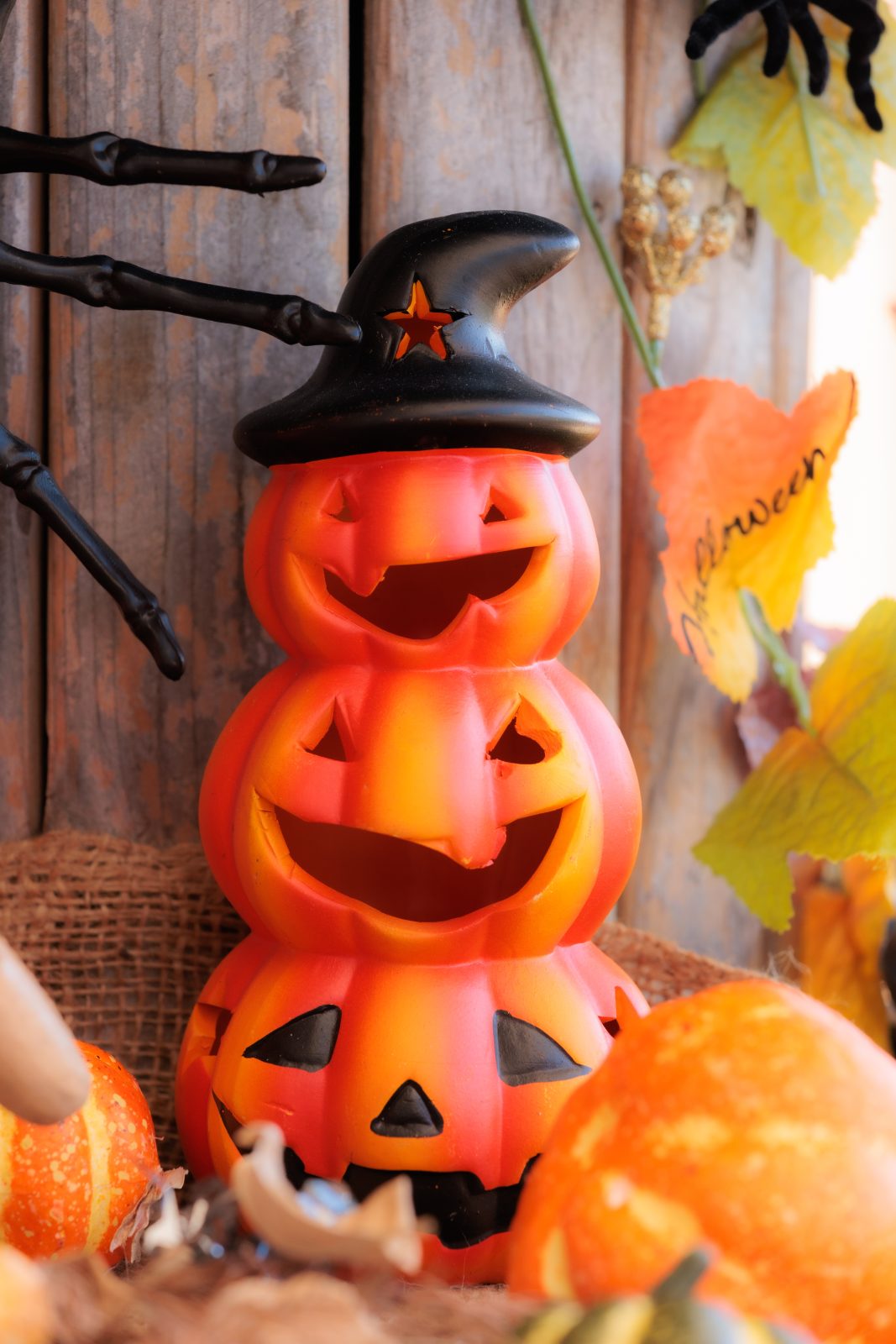 無料スマホ壁紙 かぼちゃおばけ三兄弟。AndroidとiPhoneに対応した4K高画質の無料待ち受け画像。三重県津市のレッドヒルヒーサーの森で撮影したフリー写真素材