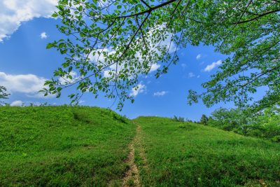 明合古墳の写真「Windows XPの壁紙みたいな光景」