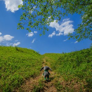 兎の助、古墳を歩く