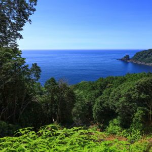 登山道からの見晴らし