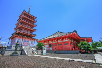 津観音の写真「五重塔と本堂と鳩」