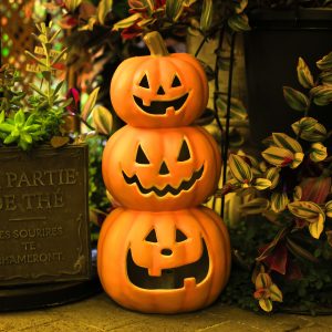 フリー写真素材「こっちを見て微笑むハロウィンのカボチャ三兄弟」