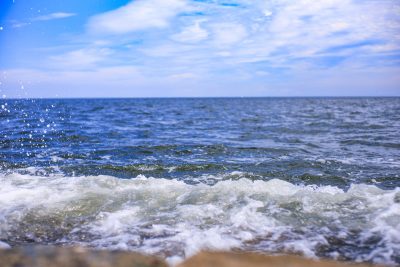 御殿場海岸の写真「津ウェーブ」