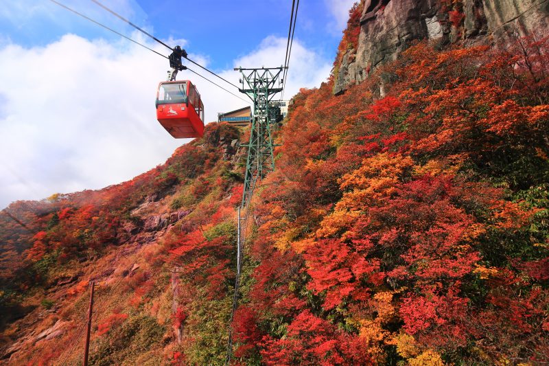 御在所ロープウエイの写真「山上の真っ赤な紅葉」