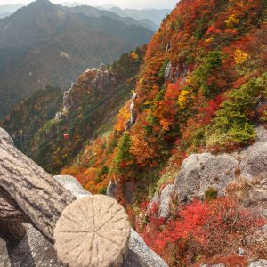 富士見岩展望台から見下ろす紅葉