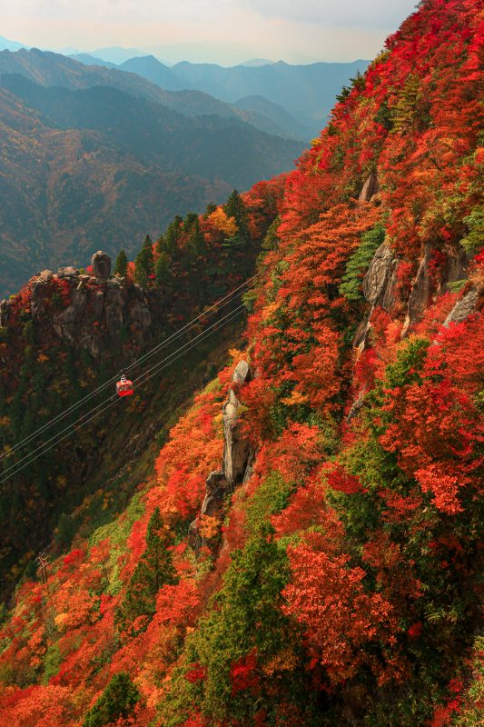 御在所ロープウエイの写真「御在所岳の真っ赤な紅葉」