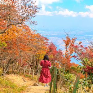 御在所岳山上の色づくドウダンツツジ