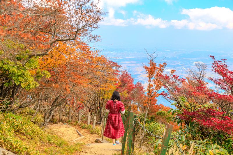 御在所ロープウエイの写真「御在所岳山上の色づくドウダンツツジ」