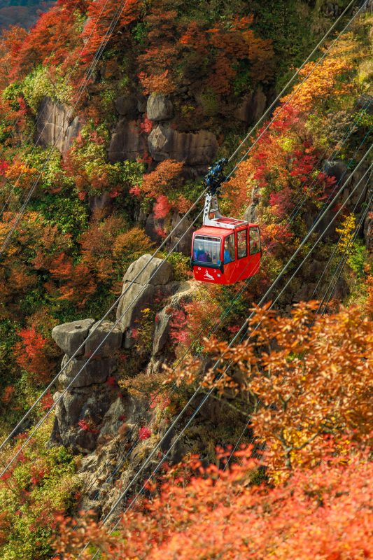 御在所ロープウエイの写真「紅葉と奇岩に包まれるゴンドラ」