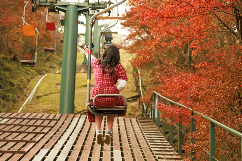 御在所ロープウエイの写真「山上リフトから眺めるドウダンツツジ」