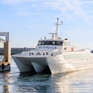 津エアポートラインのフリー素材・壁紙