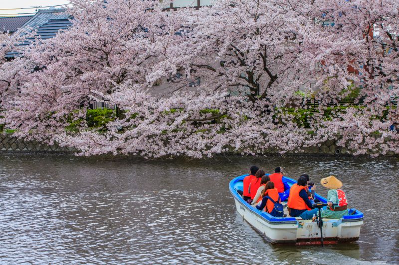九華公園の写真「桜に近づく船」