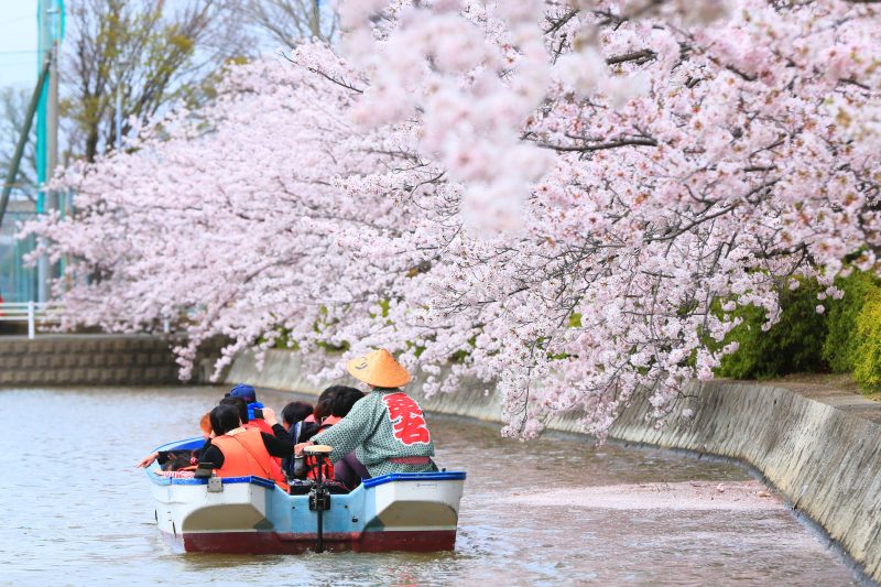 九華公園の写真「船でお花見」