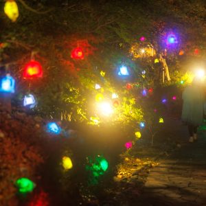 無料壁紙 光の実が広がる日本庭園の通路。PCとデスクトップ壁紙に最適な4K高画質の無料壁紙。三重県津市のそうぶんの月灯りで撮影したフリー写真素材