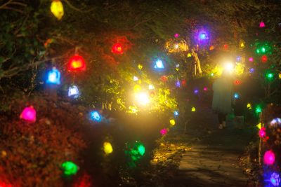 無料壁紙 光の実が広がる日本庭園の通路。PCとデスクトップ壁紙に最適な4K高画質の無料壁紙。三重県津市のそうぶんの月灯りで撮影したフリー写真素材