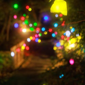 無料スマホ壁紙 光の実（黄色）。AndroidとiPhoneに対応した4K高画質の無料待ち受け画像。三重県津市のそうぶんの月灯りで撮影したフリー写真素材