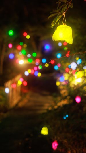 無料スマホ壁紙 光の実（黄色）。AndroidとiPhoneに対応した4K高画質の無料待ち受け画像。三重県津市のそうぶんの月灯りで撮影したフリー写真素材