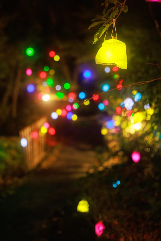 光の実（黄色）