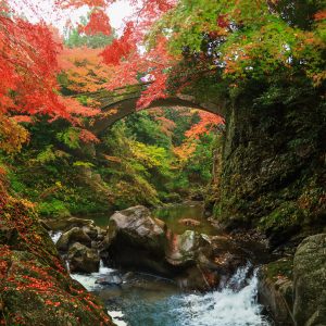 忍田橋を下流から眺める