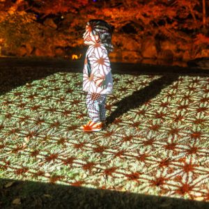 無料壁紙 伊勢型紙の模様が映るプロジェクションマッピング。PCとデスクトップ壁紙に最適な4K高画質の無料壁紙。三重県津市のそうぶんの月灯りで撮影したフリー写真素材