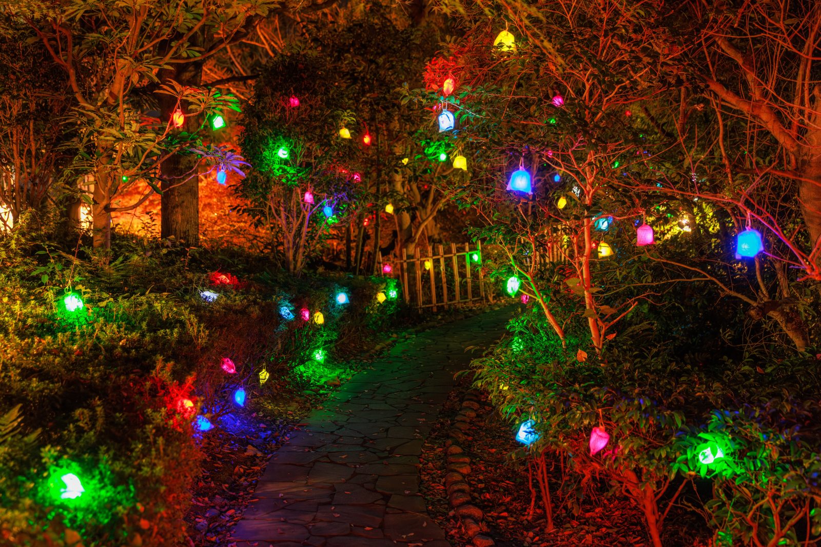 無料壁紙 彩り豊かな光の実が広がる日本庭園の通路。PCとデスクトップ壁紙に最適な4K高画質の無料壁紙。三重県津市のそうぶんの月灯りで撮影したフリー写真素材