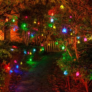 無料壁紙 彩り豊かな光の実が広がる日本庭園の通路。PCとデスクトップ壁紙に最適な4K高画質の無料壁紙。三重県津市のそうぶんの月灯りで撮影したフリー写真素材