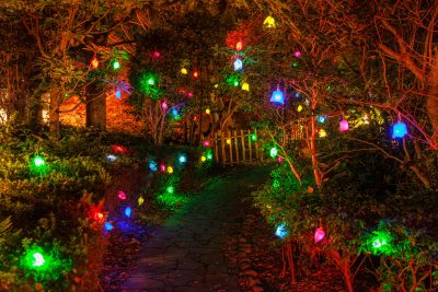 無料壁紙 彩り豊かな光の実が広がる日本庭園の通路。PCとデスクトップ壁紙に最適な4K高画質の無料壁紙。三重県津市のそうぶんの月灯りで撮影したフリー写真素材