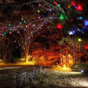 無料壁紙 メイン会場の日本庭園。PCとデスクトップ壁紙に最適な4K高画質の無料壁紙。三重県津市のそうぶんの月灯りで撮影したフリー写真素材