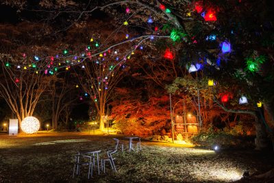 無料壁紙 メイン会場の日本庭園。PCとデスクトップ壁紙に最適な4K高画質の無料壁紙。三重県津市のそうぶんの月灯りで撮影したフリー写真素材