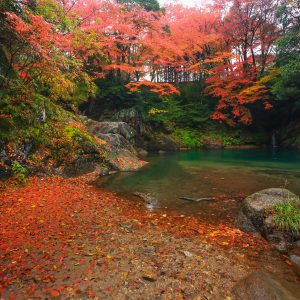 下流エリアの紅葉