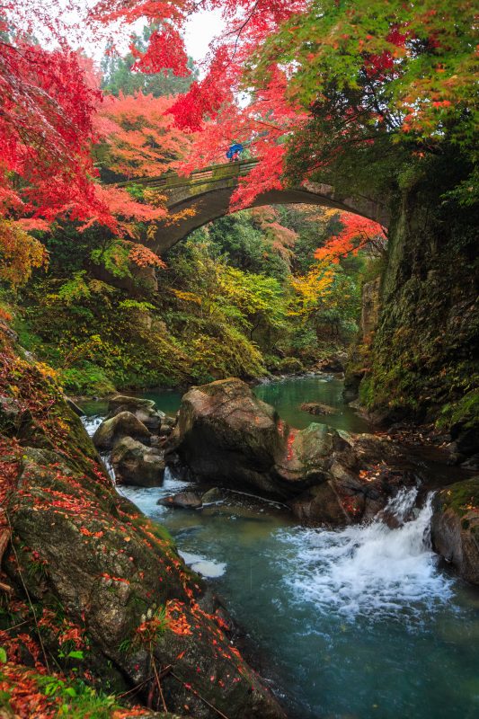 河内渓谷の写真「秋色の渓流」