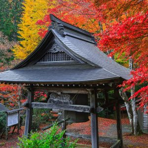 天開山泰運寺の写真「紅葉グラデーション」