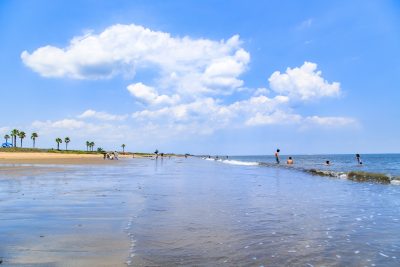 マリーナ河芸の写真「海水浴シーズン」